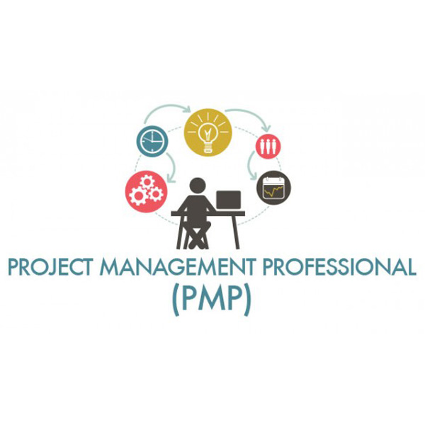 Project Management Professional (PMP)